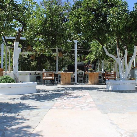 Villa Nouli Sarakiniko  Esterno foto